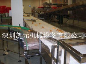 网带输送机2